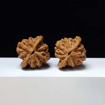 The "Wheat Grain Tiger's Head" Mai Sui Hu Tou Collector Pair | S-Grade Investment Tier | 42.0mm x 40.0mm | HT-S-001350