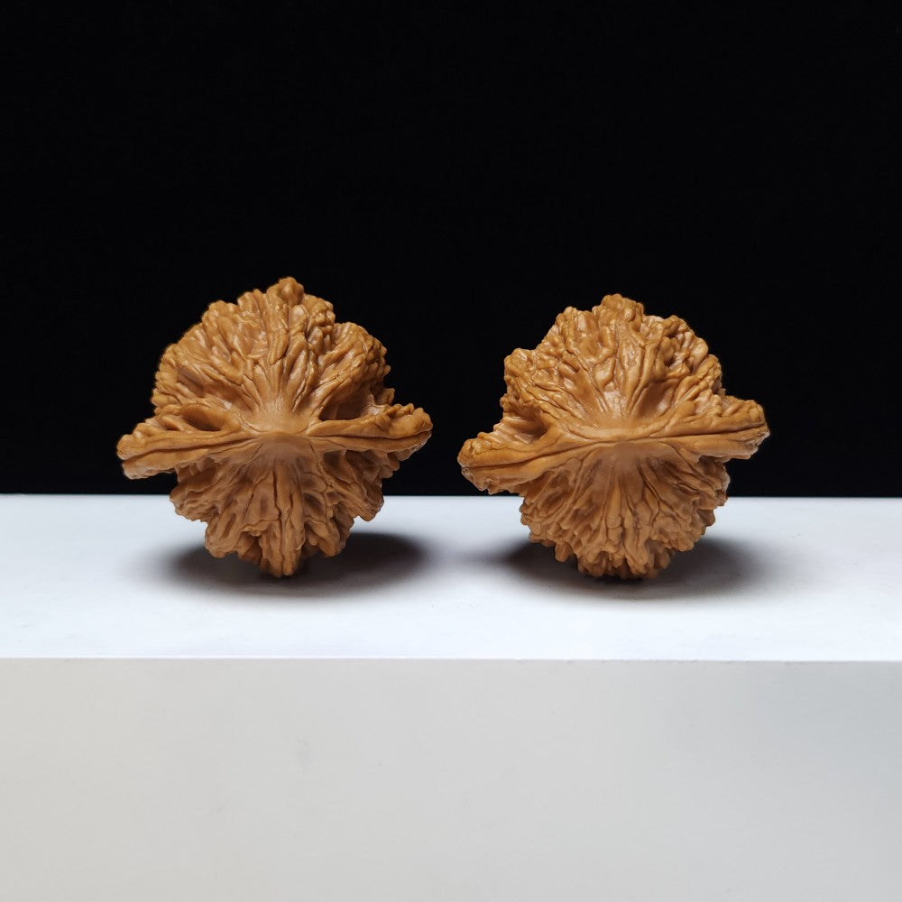 The "Wheat Grain Tiger's Head" Mai Sui Hu Tou Collector Pair | S-Grade Investment Tier | 42.0mm x 40.0mm | HT-S-001350