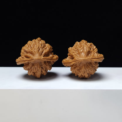 The "Wheat Grain Tiger's Head" Mai Sui Hu Tou Collector Pair | S-Grade Investment Tier | 42.0mm x 40.0mm | HT-S-001350