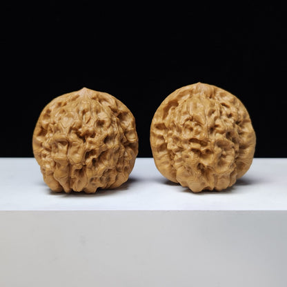 The "Dragon Tripod" (Long Ding) Imperial Exhibition-Grade Symmetrical Pair | 44.0mm x 44.0mm | GM-S-007440
