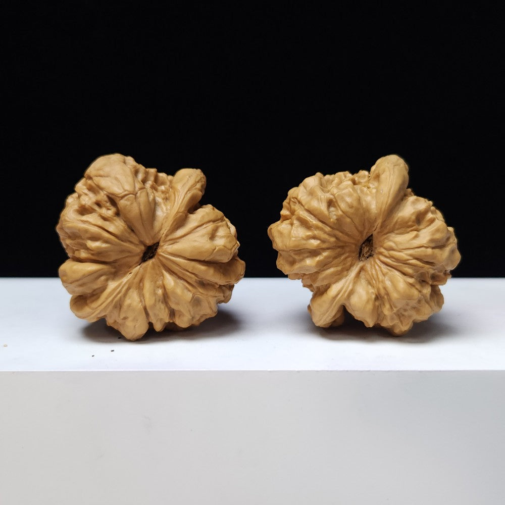 The "Dragon Tripod" (Long Ding) Imperial Exhibition-Grade Symmetrical Pair | 44.0mm x 44.0mm | GM-S-007440