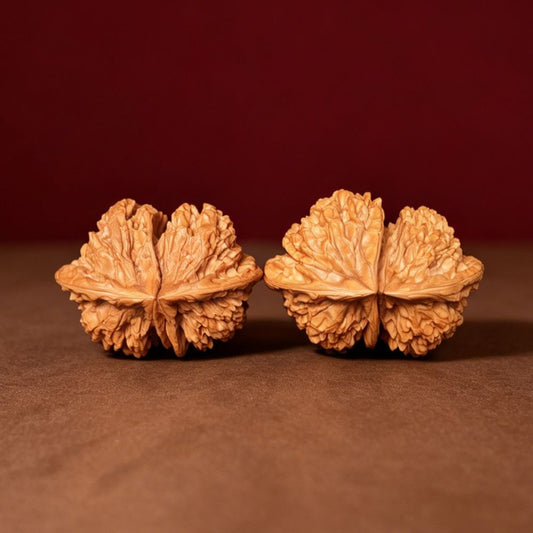 The "Noble Twin Peak" (Ma Ti Lian Ti Horseshoe Twin Official Hat) E-Grade Monumental Fused Masterpiece | Curator's Holy Grail Collection | Max 64.0mm Span | GM-E-001220