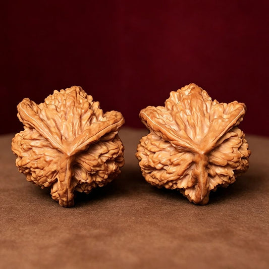 The "Owl Trinity" (Wild Buffalo Triple-Ridge Ben) EE-Grade Museum Specimen | 38.0mm x 38.0mm | YX-EE-002225