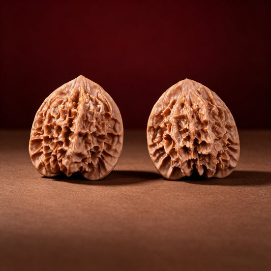 The "Imperial" Lion's Head Classic Pair | 42.0mm x 40.0mm | DW-A-003 (023)
