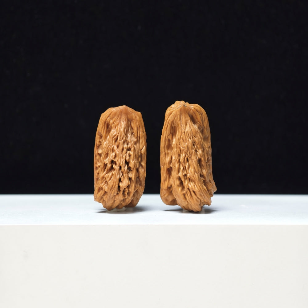The "Penguin Gold Bar" Qi E Jin Tiao Exotic Hand-Twister Pair | Rare Form Tier | 22.0mm x 22.0mm | YX-E-154858