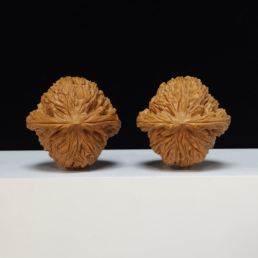 The "Spherical Round" Bai Shi Zi Lion's Head Pair | SS-Grade Masterpiece Tier | 46.0mm x 45.0mm | BSZ-SS-013498