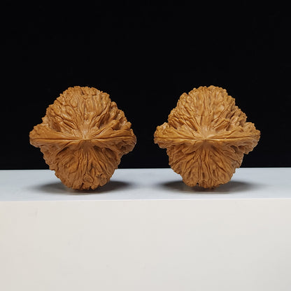 The "Spherical Round" Bai Shi Zi Lion's Head Pair | SS-Grade Masterpiece Tier | 46.0mm x 45.0mm | BSZ-SS-013498