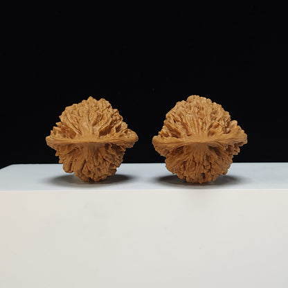 The "Qilin Texture" Qi Lin Wen Lion's Head Collector Pair | SS-Grade Masterpiece Tier | 45.0mm x 42.0mm | SZ-SS-013480