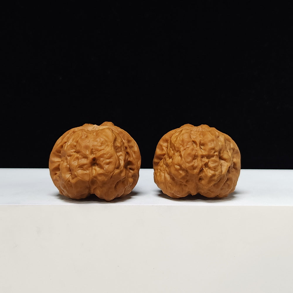 The "Red Shell Toad Head" (Hong Ke Ha Ma Tou) Ultimate Symmetrical Pair | 41.0mm x 42.0mm | HMT-SS-001508