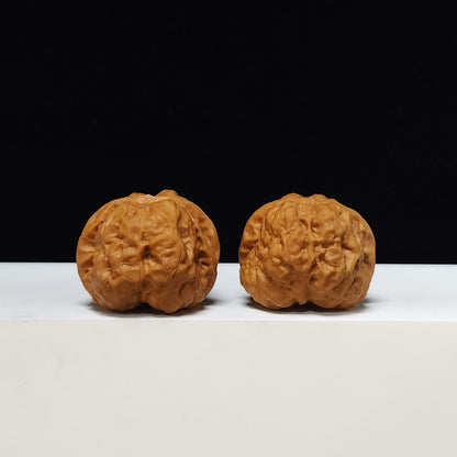 The "Red Shell Toad Head" (Hong Ke Ha Ma Tou) Ultimate Symmetrical Pair | 41.0mm x 42.0mm | HMT-SS-001508