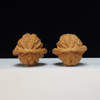 The White Lion Bai Shi Zi Collector Pair | S-Grade Investment Tier | 43.0mm x 40.0mm | BSZ-S-012493