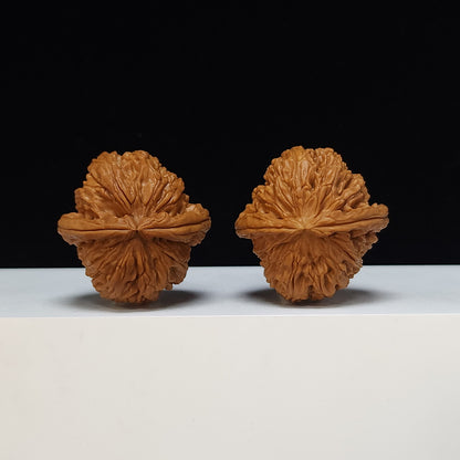The "Spherical Round" Bai Shi Zi Lion's Head Pair | S-Grade Collector Tier | 41.0mm x 41.0mm | BSZ-S-011491