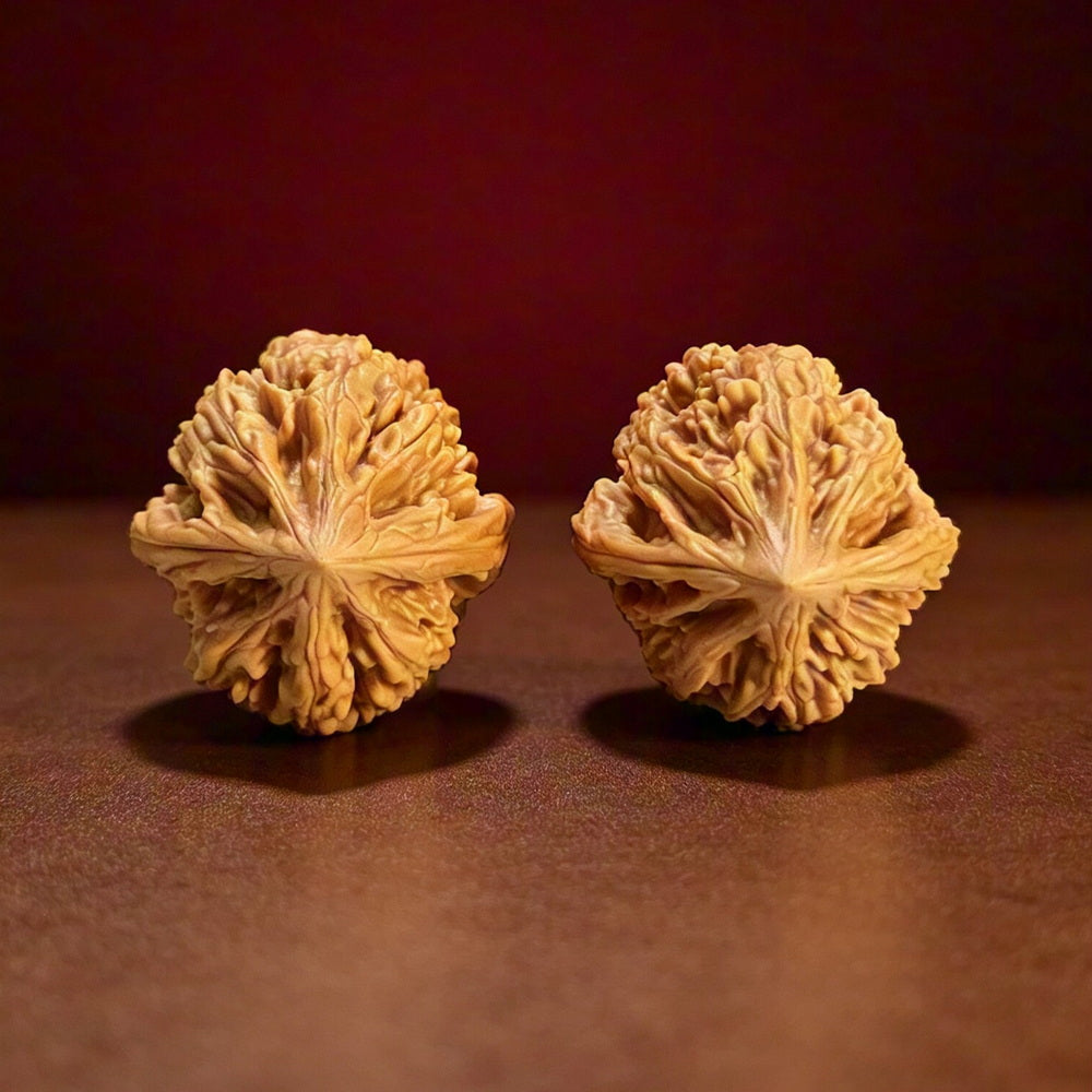 The "Beijing Chicken Heart Mini Hand-Twister" Collector Pair | A-Grade Collector Tier | 33.0mm x 33.0mm | JX-A-017709