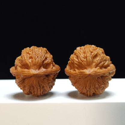 The "Gentian" (Long Dan) Imperial Symmetrical Masterpiece Pair | 34.0mm x 34.0mm | SZ-S-033464