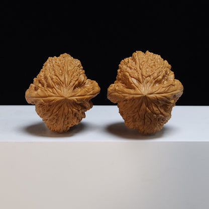 The "Blizzard Angel Wings" Bao Xue Tian Shi Zhi Yi Pair | S-Grade Collector Tier | 38.0mm x 40.0mm | BX-S-002360