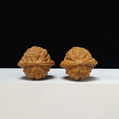 The "Millstone" Mo Pan Lion's Head Collector Pair | S-Grade Investment Tier | 41.0mm x 36.0mm | MP-S-001003
