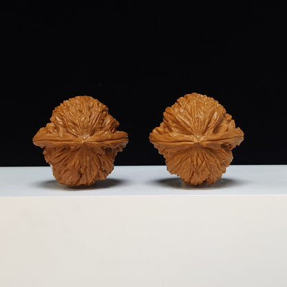 The White Lion Bai Shi Zi Collector Pair | SS-Grade Masterpiece Tier | 42.0mm x 41.0mm | BSZ-SS-011494