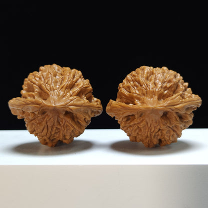 The "Kylin Texture" (Kylin Wen) Exhibition-Grade Symmetrical Masterpiece Pair | 47.0mm x 41.0mm | SZ-S-031462