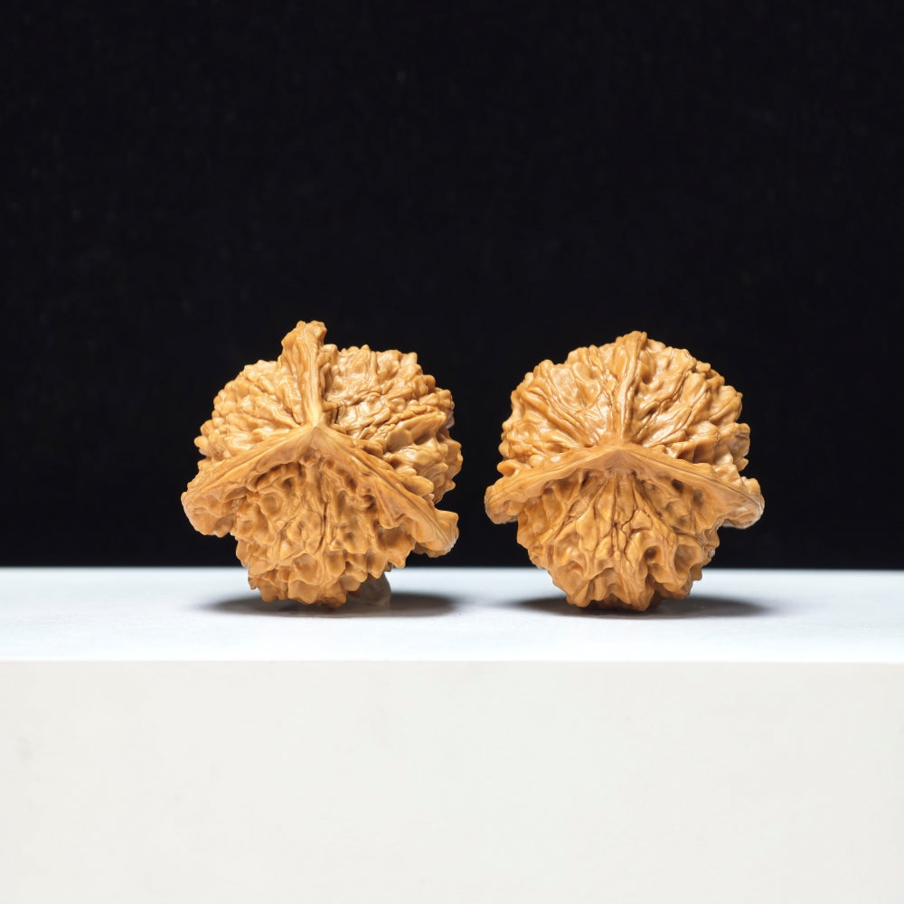 The "Mount Pan Three-Ribbed" Pan Shan San Leng Exotic Collector Pair | Rare Form Tier | 40.0mm x 40.0mm | YX-E-146850