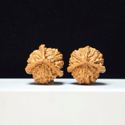 The "Mount Pan Three-Ribbed" Pan Shan San Leng Exotic Collector Pair | Rare Form Tier | 40.0mm x 40.0mm | YX-E-146850