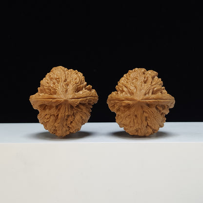 The "Red Brocade Koi" (Hong Jin Li) Premium Symmetrical Collector's Pair | 41.0mm x 42.0mm | HT-SS-003474