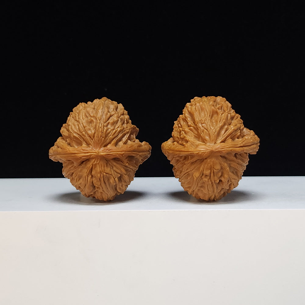 The White Lion Bai Shi Zi Collector Pair | S-Grade Investment Tier | 42.0mm x 42.0mm | BSZ-S-014497