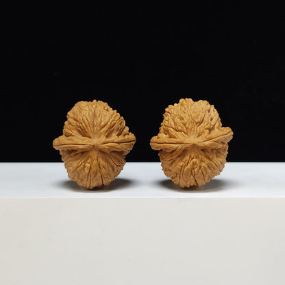 The "Spherical Sunken-Crown White Lion" Qiu Xing Men Jian Bai Shi Zi Pair | S-Grade Investment Tier | 37.0mm x 40.0mm | BSZ-S-004373