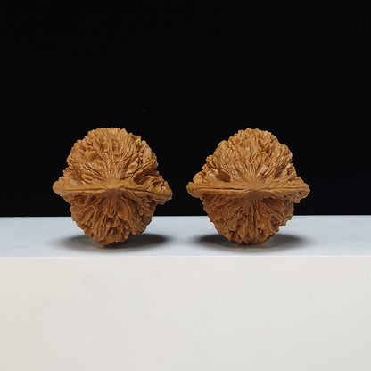 The "Imperial Jade Qilin" Yu Qi Lin Lion's Head Pair | S-Grade Collector Tier | 40.0mm x 39.0mm | SZ-S-035499
