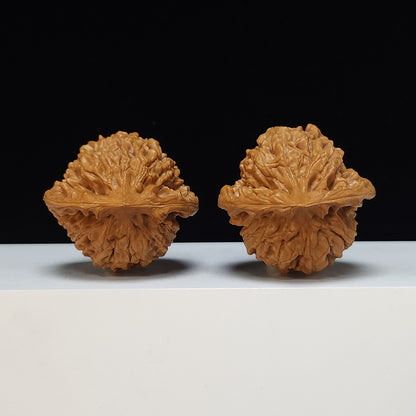 The "Qilin Texture" Qi Lin Wen Lion's Head Collector Pair | SS-Grade Masterpiece Tier | 46.0mm x 44.0mm | SZ-SS-014487