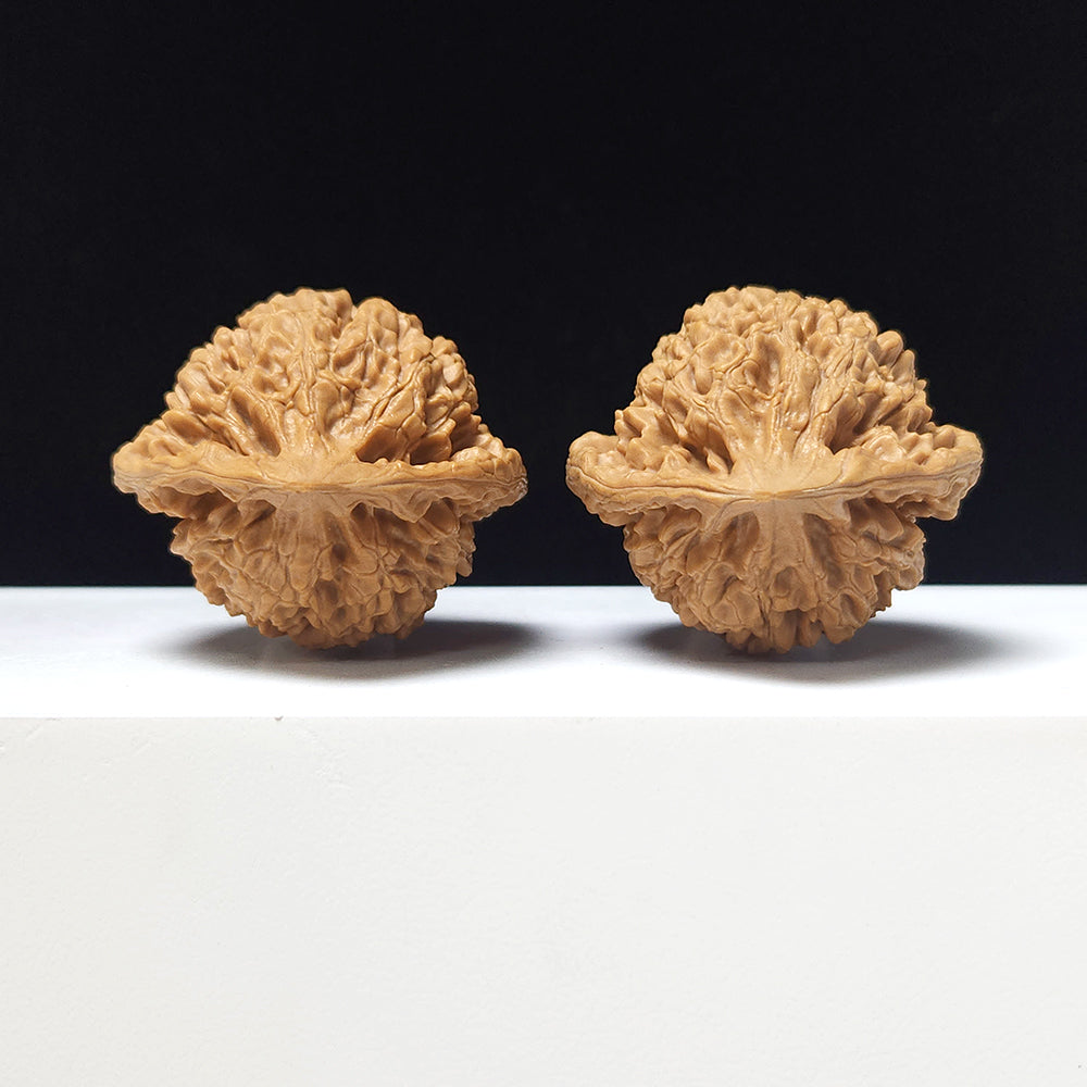 The "Official's Hat Guan Mao" Collector Pair | A-Grade Collector Tier | 44.0mm x 40.0mm | GM-A-024751