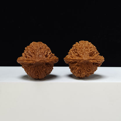 The "Starry Sky" Man Tian Xing Collector Pair | S-Grade Investment Tier | 43.0mm x 40.0mm | MTX-S-002319