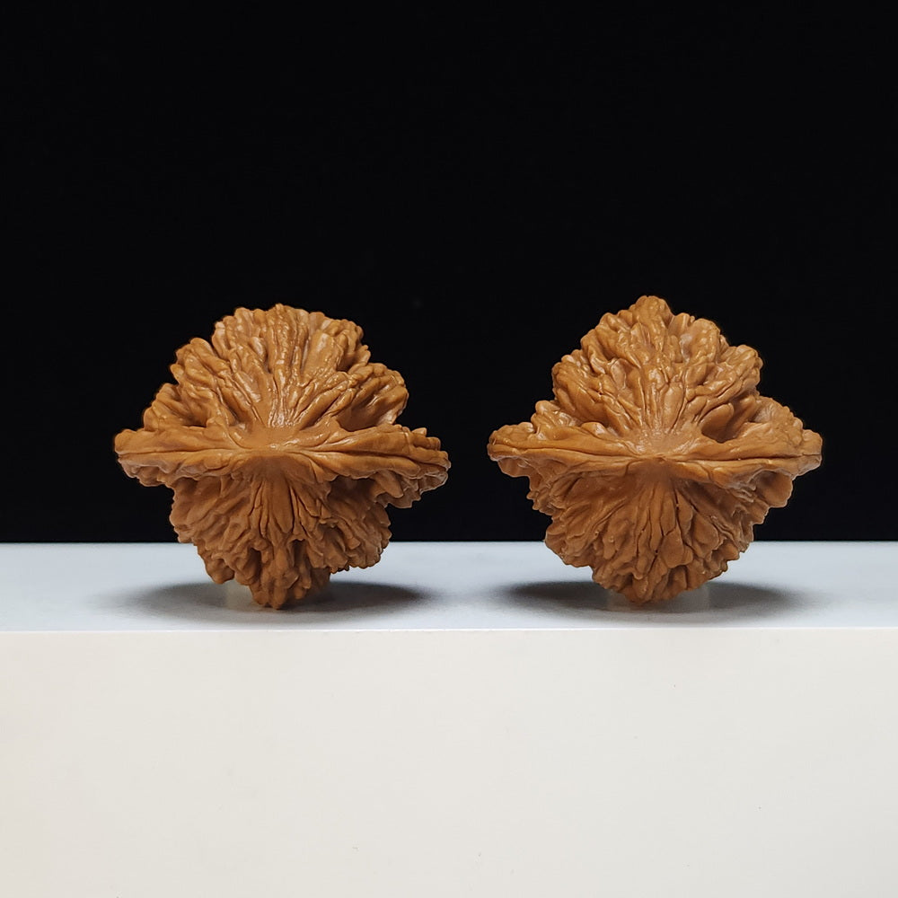 The "Wheat Ear Tiger Head" (Maisui Hutou) Heritage Symmetrical Pair | 44.0mm x 40.0mm | HT-S-002475