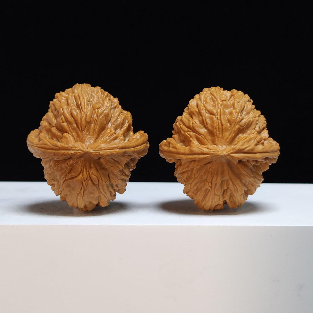 The "Low-Apex Spherical White Lion" (Men Jian Qiu Xing Bai Shi Zi) Exhibition-Grade Symmetrical Pair | 41.0mm x 44.0mm | BSZ-SS-008446