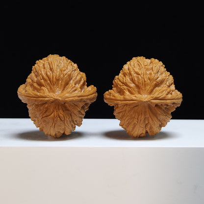The "Low-Apex Spherical White Lion" (Men Jian Qiu Xing Bai Shi Zi) Exhibition-Grade Symmetrical Pair | 41.0mm x 44.0mm | BSZ-SS-008446