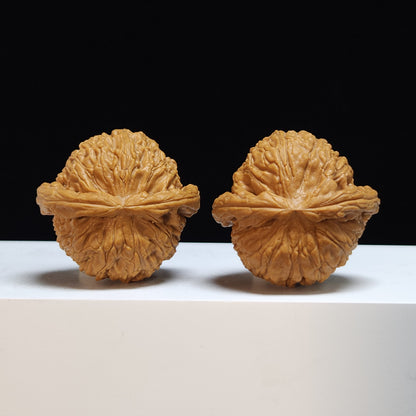 The "Sunken-Crown White Lion" Men Jian Bai Shi Zi Collector Pair | SS-Grade Masterpiece Tier | 41.0mm x 39.0mm | BSZ-SS-005369