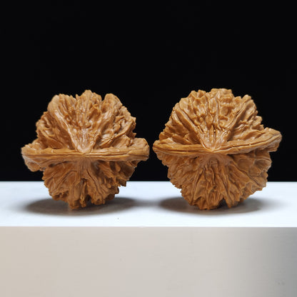 The "Shaanxi Lantern" (Shaanxi Denglong) Premium Symmetrical Collector's Pair | 46.0mm x 43.0mm | DL-S-001466