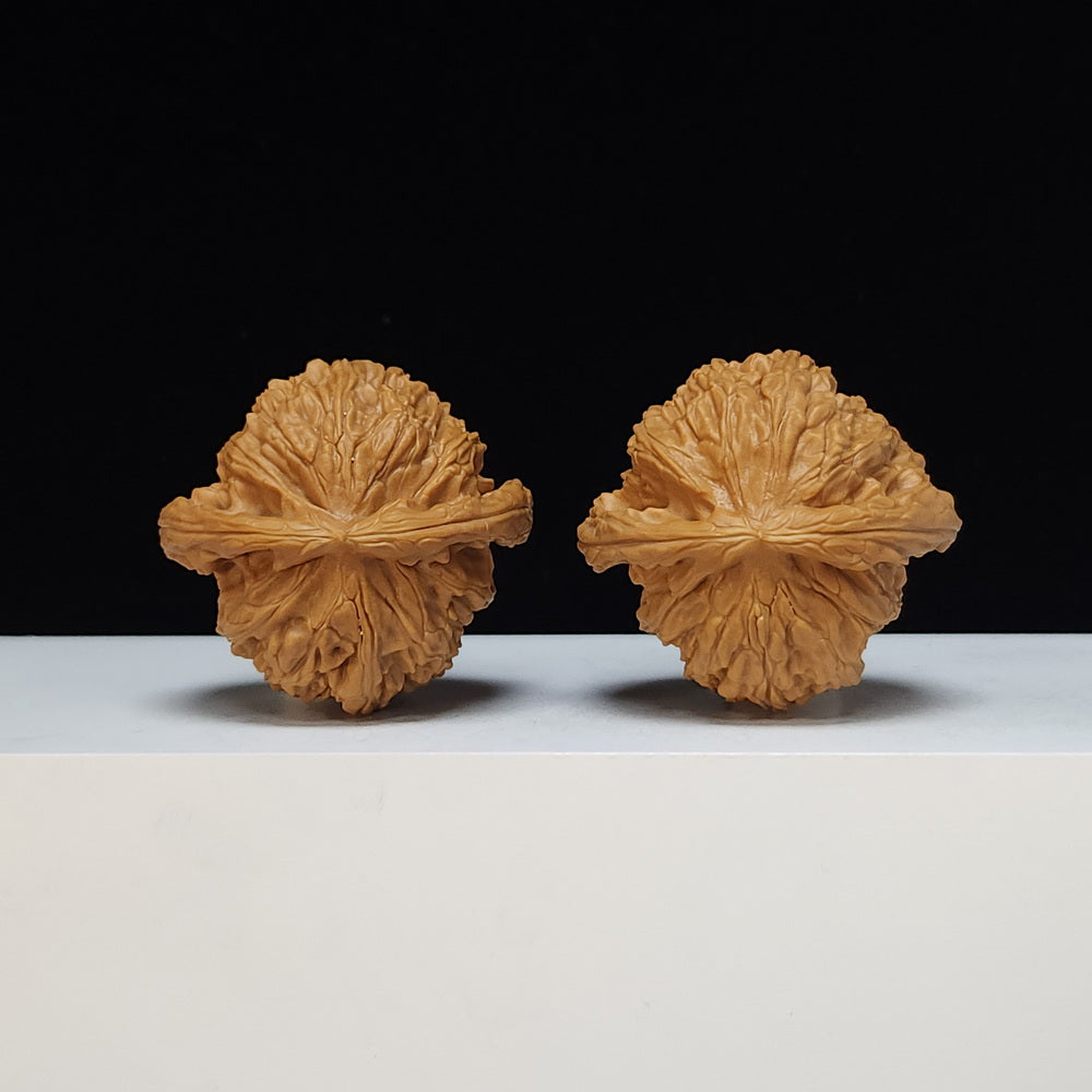The "Spherical Round" Bai Shi Zi Lion's Head Pair | SS-Grade Masterpiece Tier | 44.0mm x 42.0mm | BSZ-SS-012496