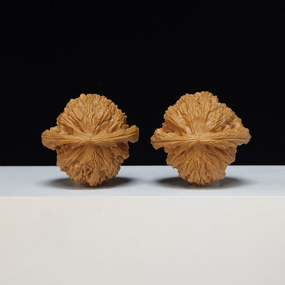 The "Spherical Round" Bai Shi Zi Lion's Head Pair | SS-Grade Masterpiece Tier | 44.0mm x 42.0mm | BSZ-SS-012496