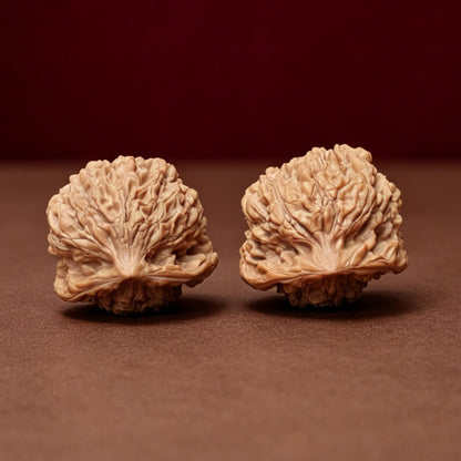The "Kylin Turtle-Back Seated Buddha" (Kylin Wen Gui Bei Zuo Fo) Exhibition-Grade Symmetrical Masterpiece Pair | 44.0mm x 43.0mm | YX-E-047525