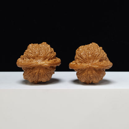 The "Blood Qilin" Xue Qi Lin Lion's Head Collector Pair | S-Grade Investment Tier | 44.0mm x 40.0mm | SZ-S-011201