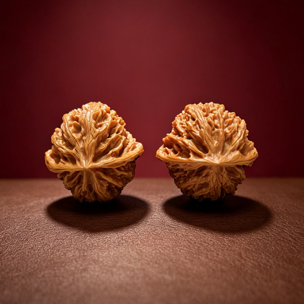 The "Apple Garden" Collector Pair | A-Grade Collector Tier | 39.0mm x 38.0mm | PGY-A-011694