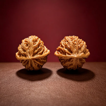 The "Apple Garden" Collector Pair | A-Grade Collector Tier | 39.0mm x 38.0mm | PGY-A-011694