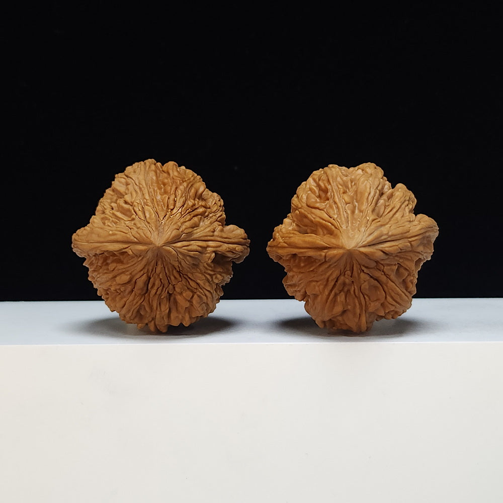 The "Dagu Stone" (Da Gu Shi) Premium Symmetrical Collector's Pair | 46.0mm x 44.0mm | JX-SS-002476