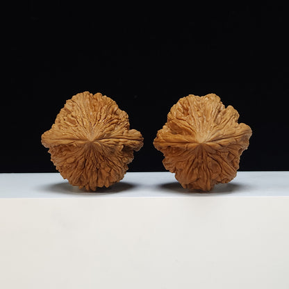 The "Dagu Stone" (Da Gu Shi) Premium Symmetrical Collector's Pair | 46.0mm x 44.0mm | JX-SS-002476
