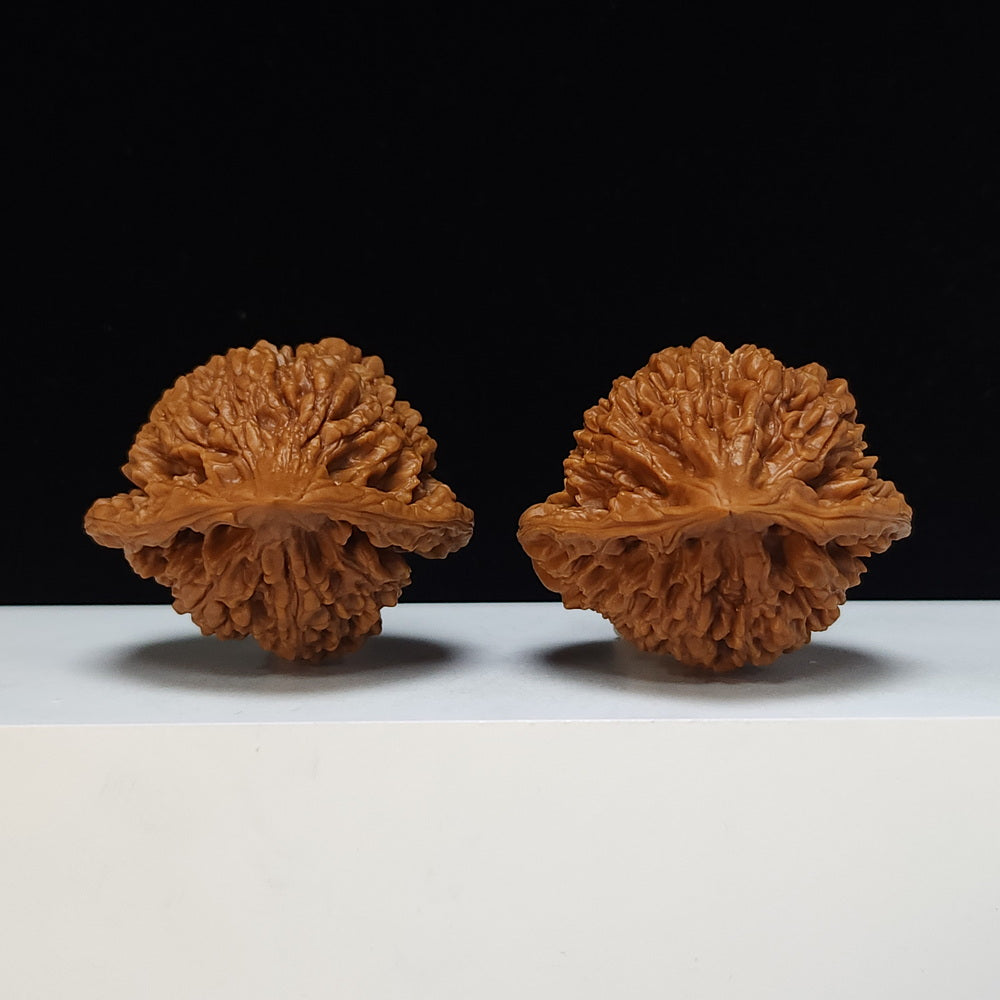 The "Qilin Texture" Qi Lin Wen Lion's Head Collector Pair | SS-Grade Masterpiece Tier | 50.0mm x 43.0mm | SZ-SS-016489