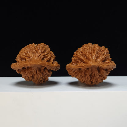 The "Qilin Texture" Qi Lin Wen Lion's Head Collector Pair | SS-Grade Masterpiece Tier | 50.0mm x 43.0mm | SZ-SS-016489