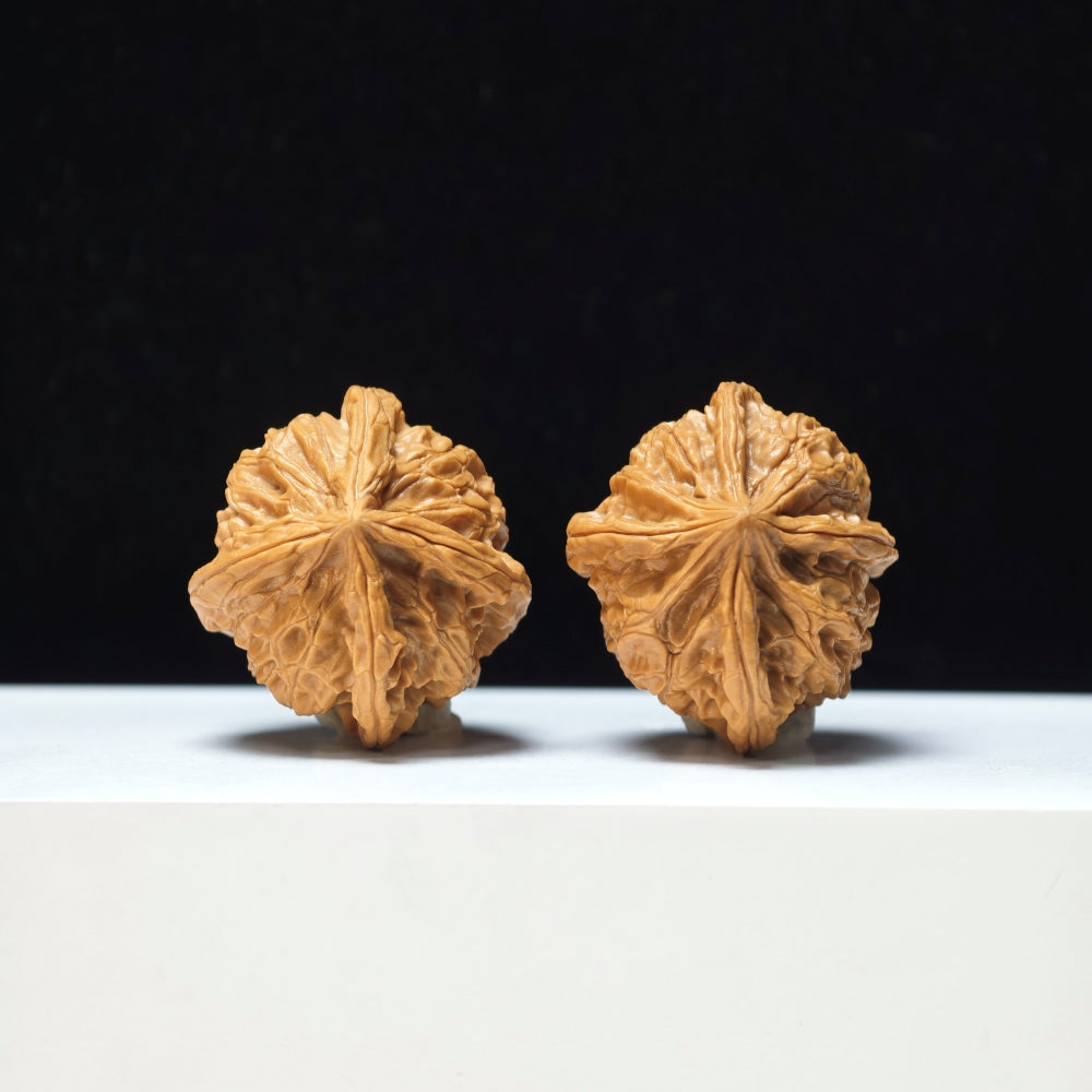 The "Imperial Jade Seal Four-Ribbed" Yu Xi Si Leng Exotic Collector Pair | Rare Form Tier | 38.0mm x 40.0mm | YX-E-129833