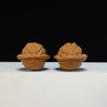 The "Porcelain Doll" (Ci Wa Wa) Premium Symmetrical Pocket-Play Pair | 40.0mm x 34.0mm | GM-SS-003479