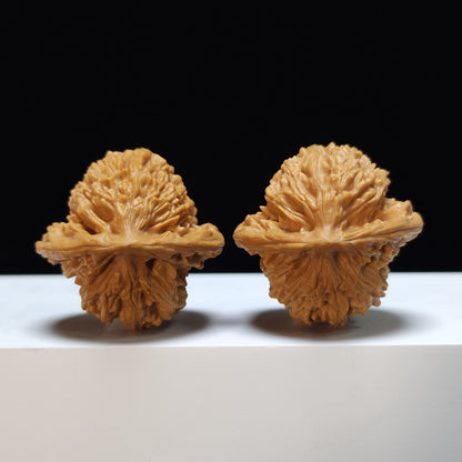 The "Beijing Xiayunling" Xiayunling Lion's Head Collector Pair | S-Grade Investment Tier | 38.0mm x 37.0mm | SZ-S-023363