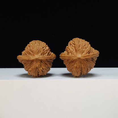 The "Millstone" Mo Pan Lion's Head Collector Pair | SS-Grade Masterpiece Tier | 43.0mm x 42.0mm | MP-SS-007482